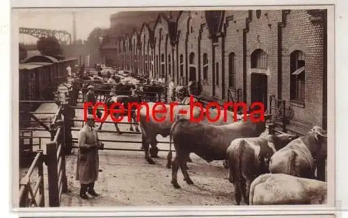 68638 Foto Ak Vieh u. Schlachthof Leipzig: Großviehankunft mit der Bahn um 1940