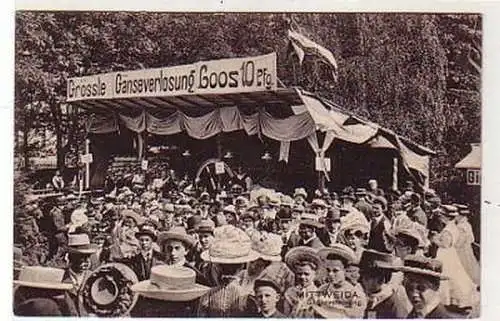 37536 Ak Mittweida Gänseverlosung Volksfest um 1910