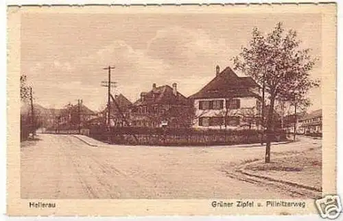 19196 Ak Hellerau grüner Zipfel & Pillnitzerweg um 1920