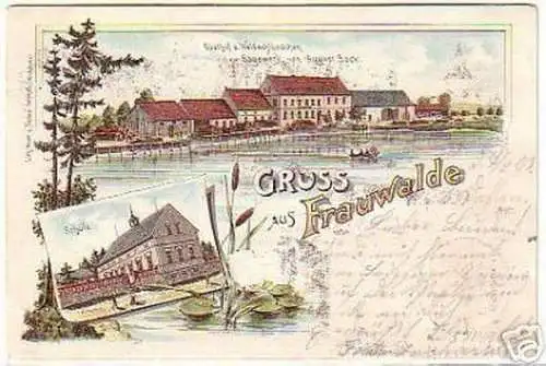 08146 Ak Lithographie Gruss aus Frauwalde 1901