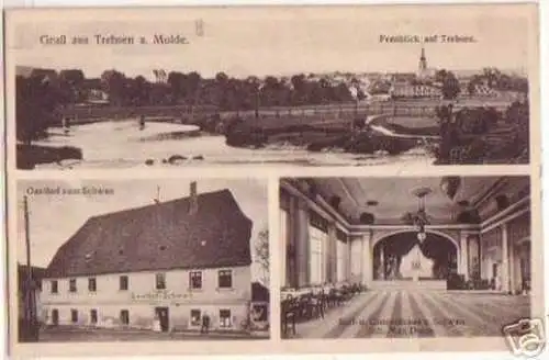 17862 Mehrbild Ak Gruß aus Trebsen a. Mulde um 1920