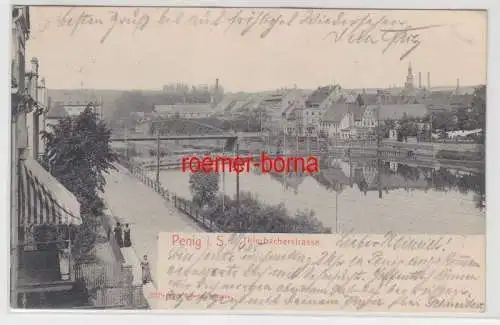 81023 Ak Penig in Sachsen Thierbacherstrasse 1905