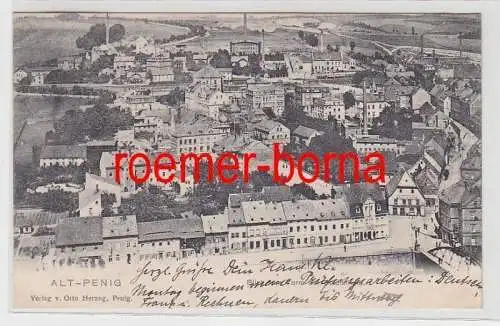 71986 Ak Alt-Penig Blick vom Turm der Stadtkirche 1903