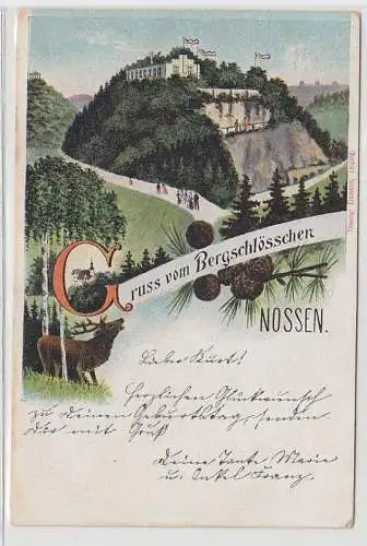 69089 Ak Lithographie Gruß vom Bergschlösschen Nossen 1908