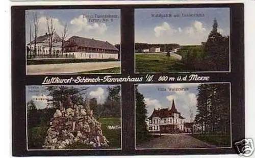 32978 Mehrbild Ak Schöneck Tannenhaus im Vogtland 1913