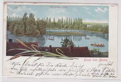 68600 Ak Gruss aus Borna - Blick auf den breiten Teich 1903