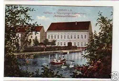 33044 Ak Dahlen i. S. Gasthaus Schwanschlößchen um 1910