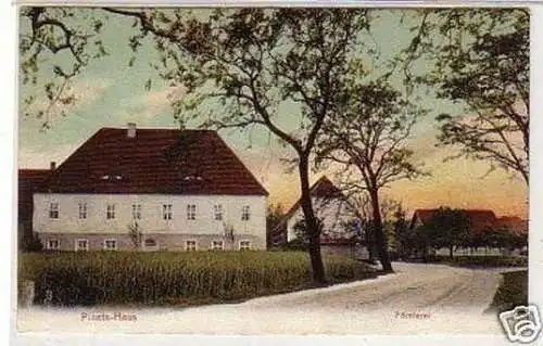 31682 Ak Dommitzsch Palnts Haus Försterei 1910