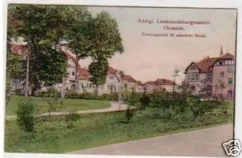 25226 Ak Chemnitz Königl. Landeserziehungsanstalt 1908