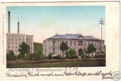 20073 Ak Müllerschule in Dippoldiswalde 1903