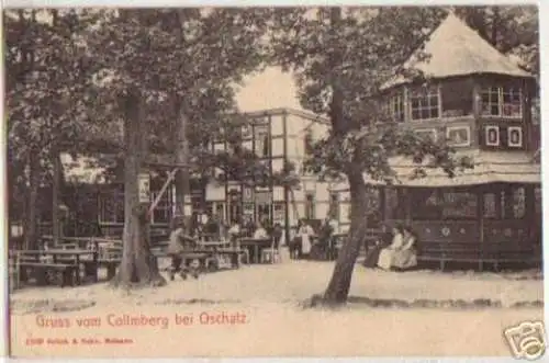 13382 Ak Gruß vom Collmberg bei Oschatz 1908