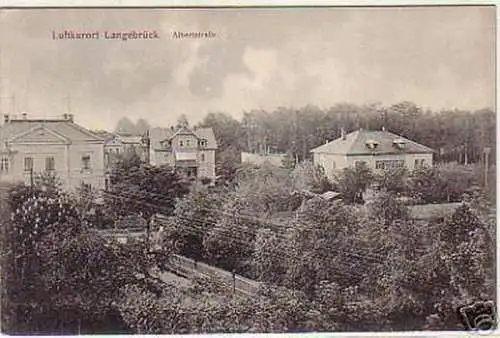 05144 Ak Luftkurort Langebrück Albertstrasse 1913