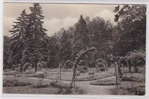 69184 Ak Markranstädt Kreis Leipzig im Stadtpark 1960
