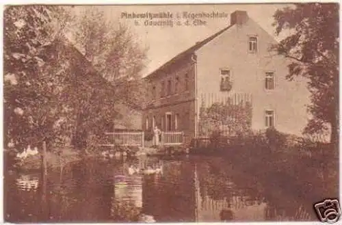 24927 Ak Pinkowitzmühle Regenbachtal bei Gauernitz 1930