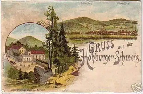 08100 Ak Lithographie Gruß aus der Hohburger Schweiz