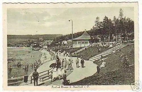 04724 Ak Freibad Brunn bei Auerbach im Vogtland 1929