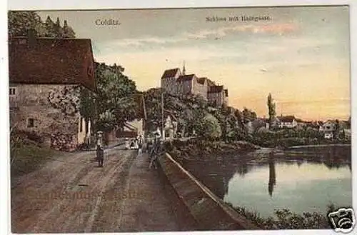 34857 Ak Colditz Schloss mit Haingasse um 1910