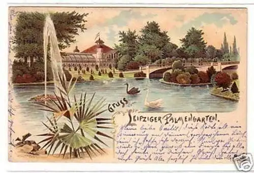 23145 Ak Lithographie Gruß vom Leipziger Palmengarten