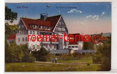 62076 Ak Bad Elster Dr. Köhlers Sanatorium 1919