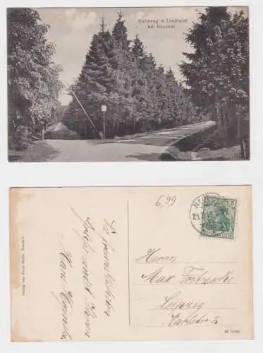 21828 Ak Waldweg in Lindhardt bei Naunhof 1913