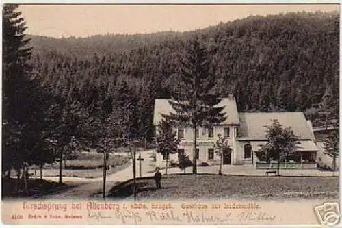 16392 AK Hirschsprung bei Altenberg i. sächs. Erzg.1909