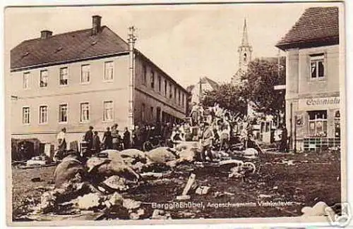 08429 Ak Berggießhübel angeschwemmte Viehkadaver 1927