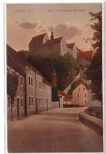 05211 Ak Colditz Blick von Haingasse auf Schloss 1919