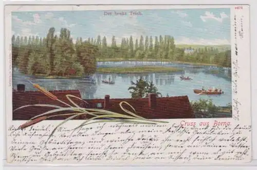 95243 AK Gruss aus Borna Der breite Teich - Blick auf Teich mit Booten 1908