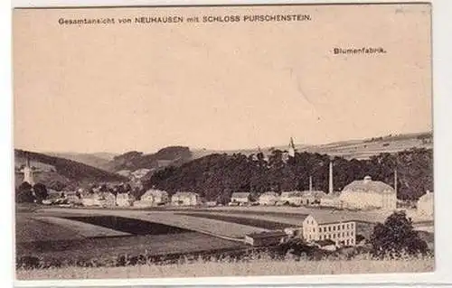 61099 Ak Neuhausen mit Schloß Purschenstein und Blumenfabrik um 1920