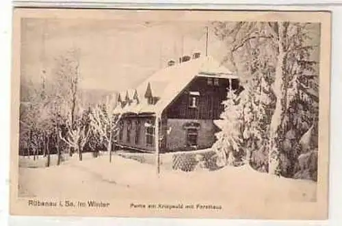 39018 Ak Rübenau in Sachsen im Winter 1921