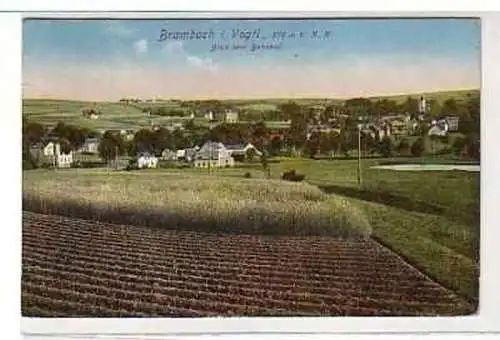 39673 Ak Brambach im Vogtland Blick vom Bahnhof 1917