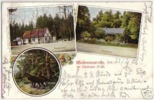 09437 Ak Waidmannsruhe im Werdauer Wald 1906