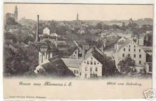 05088 Ak Gruß aus Kamenz Blick vom Eulenberg um 1900