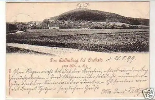 33471 Ak Der Collmberg bei Oschatz 333 m ü.O. 1899