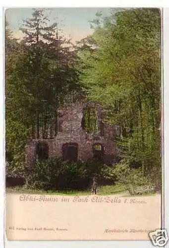 31877 Ak Abtei Ruine im Park Alt-Zella bei Nossen 1900