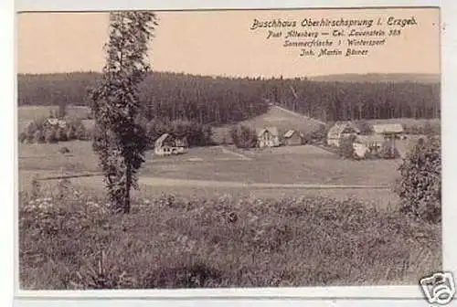 29560 Ak Buschhaus Oberhirschsprung im Erzgebirge 1920