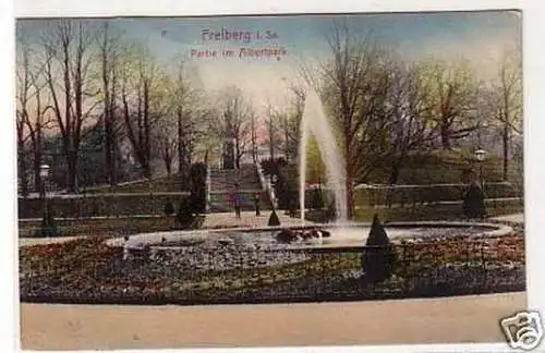 27052 Ak Freiberg in Sachsen Partie im Albertpark 1915