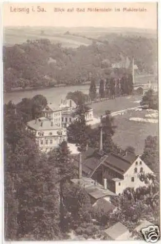 25451 Ak Leisnig Blick auf Bad Mildenstein 1912