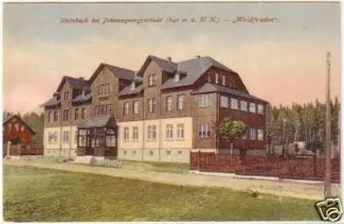 20450 Ak Steinbach bei Johanngeorgenstadt "Waldfrieden"