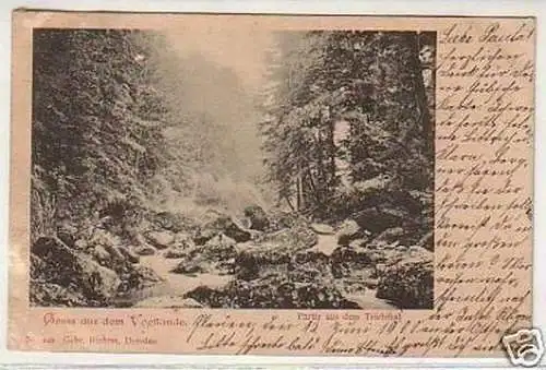 15521 Ak Gruß aus dem Vogtlande Triebthal 1900