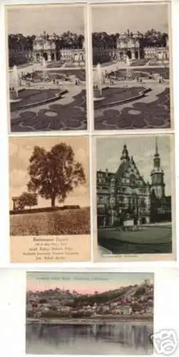 12875/5 Ak Dresden Loschwitz usw. um 1920