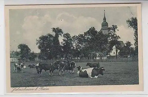 63398 Ak Jahnishausen bei Riesa Kuhherde um 1930