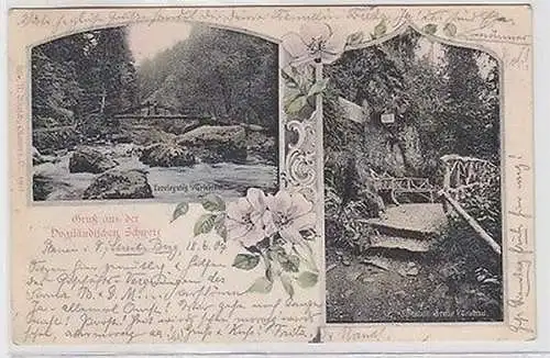 62791 Mehrbild Ak Gruß aus der Vogtländischen Schweiz 1904