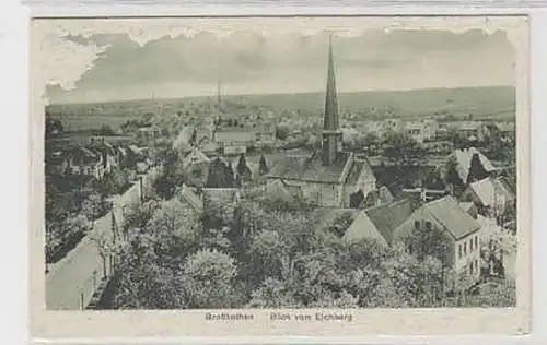 36729 Ak Großbothen Blick vom Eichberg 1930