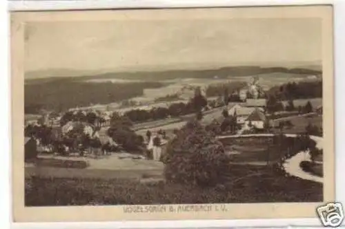 30039 Ak Vogelsgrün bei Auerbach im Vogtland um 1930