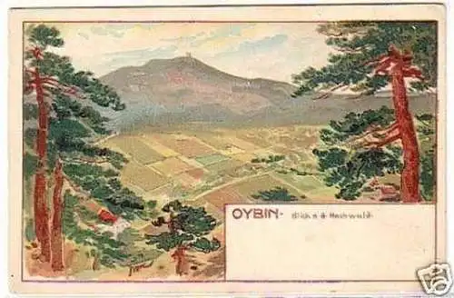 18615 Ak Oybin Blick nach dem Hochwald um 1910