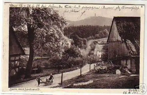 12973 Oybin Hain mit Hochwald 1923