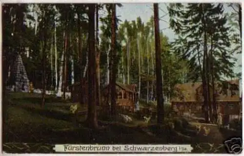 11057 Ak Fürstenbrunn bei Schwarzenberg in Sa. 1909