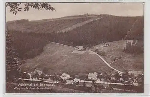 05063 Ak Wildenthal bei Eibenstock Weg nach dem Auersberg 1936