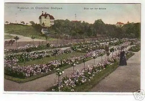 02820 Ak Rosarium im Chemnitzer Stadtpark 1907